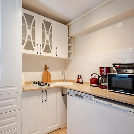 Apartment Chic In The Center Of Alsancak